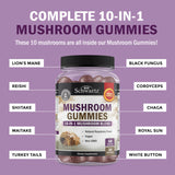 BioSchwartz 10-in-1 Mushroom Gummies nutritional information
