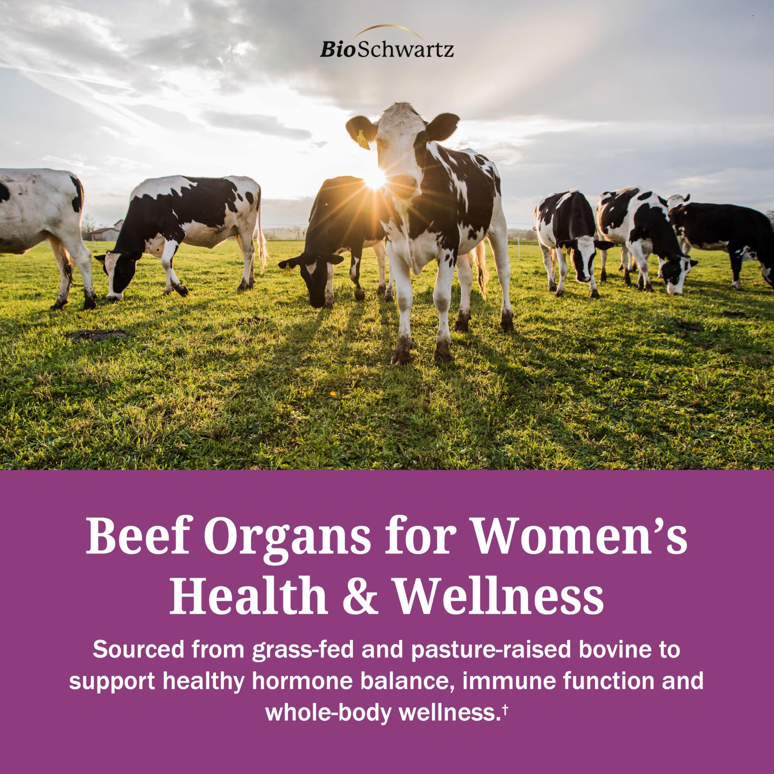 BioSchwartz Beef Organ Supplement for Women nutritional information