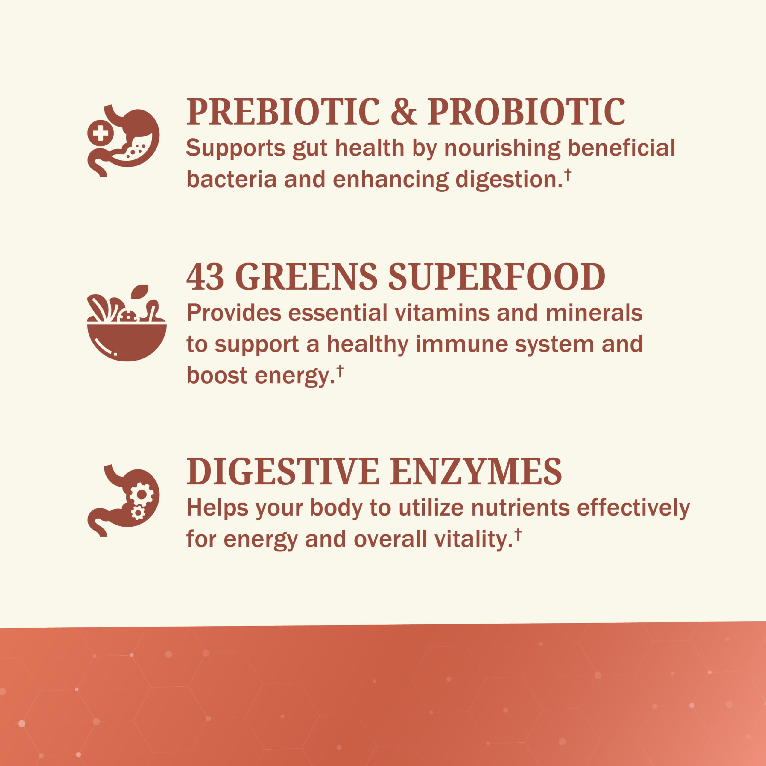 BioSchwartz Greens Superfood Powder 190g with fresh vegetables