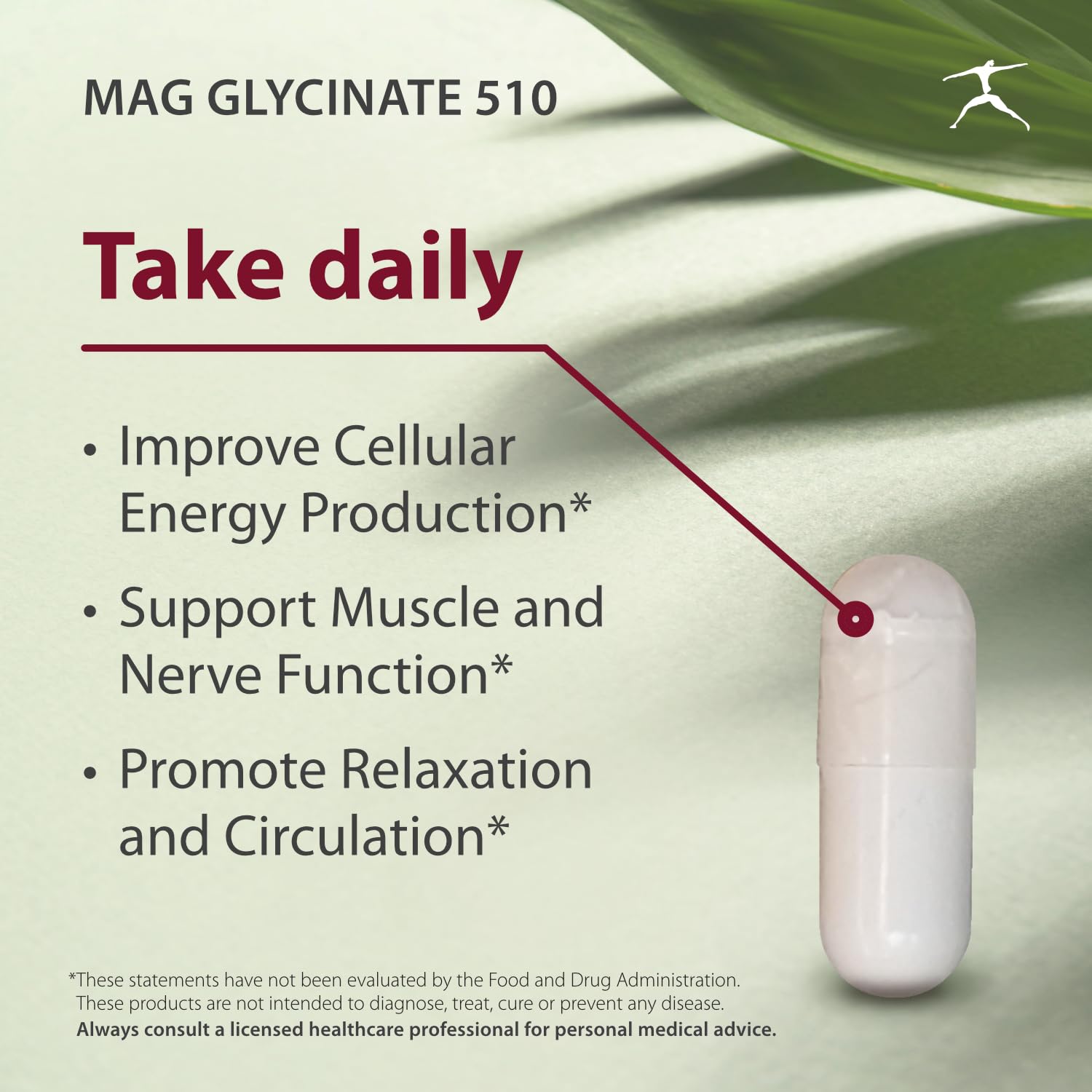 BIOSPEC NUTRITIONALS Magnesium Glycinate 510 bottle with label
