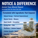 Biotek Bio-35 Multivitamin & Mineral Softgel with dosage information