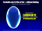 Biotest Carbolin-19 Fat Burner capsules in a bottle