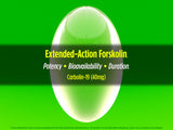 Biotest Carbolin-19 Fat Burner side view of packaging