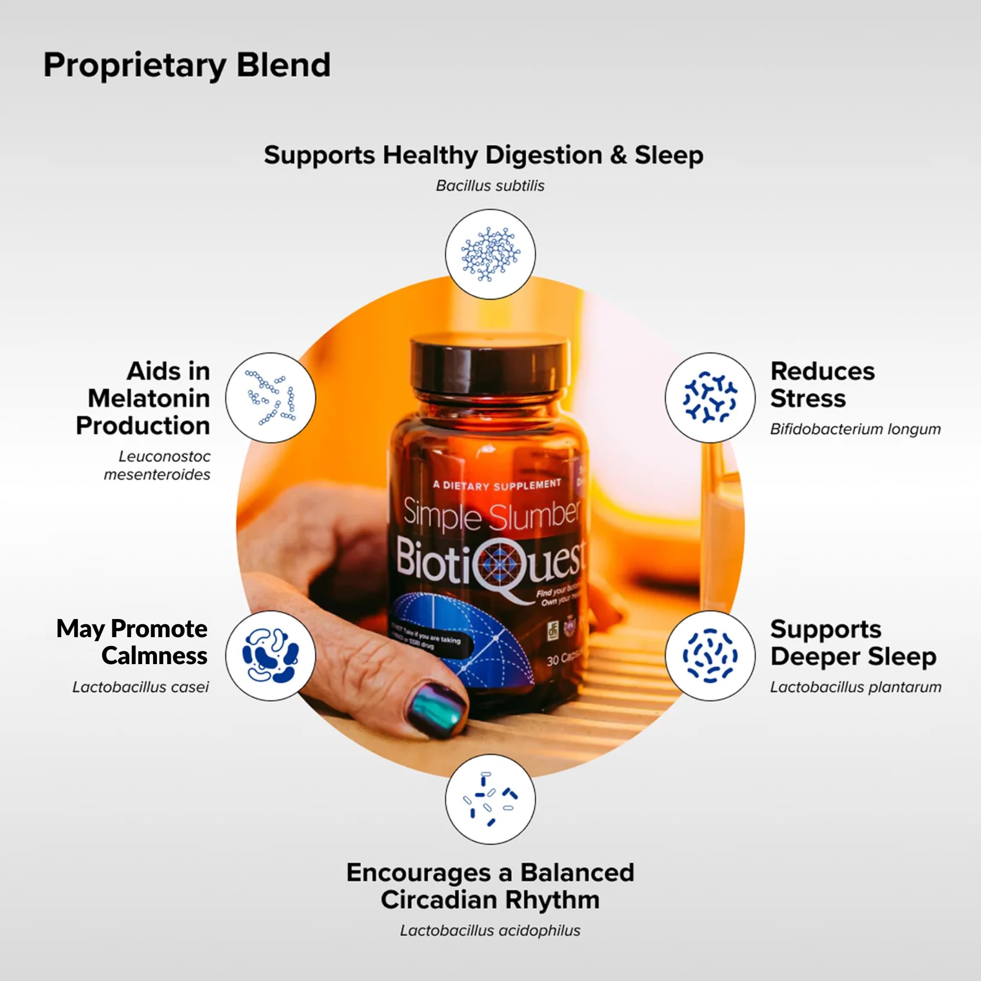 BiotiQuest Simple Slumber Probiotics on a wooden table