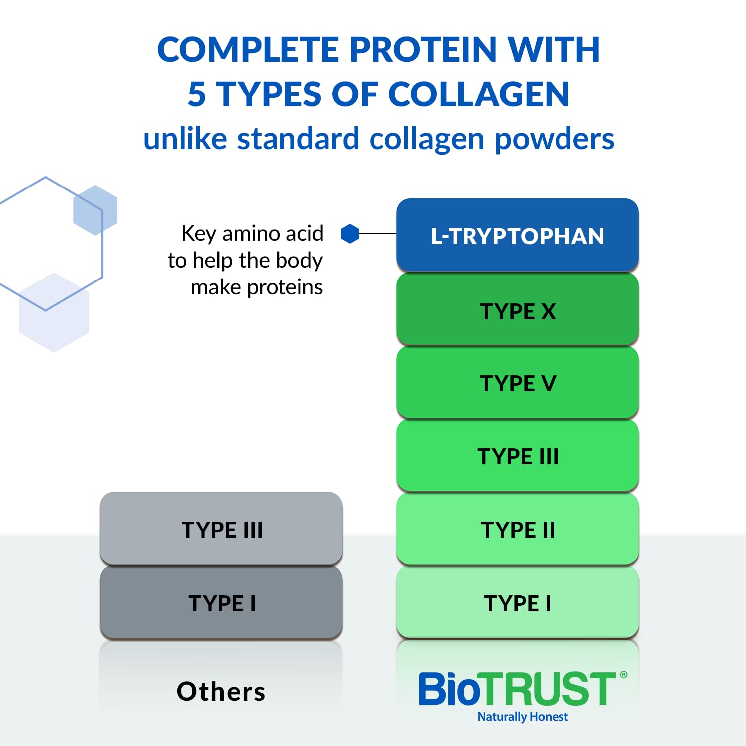 BioTrust Ageless Multi Collagen Powder scoop with powder