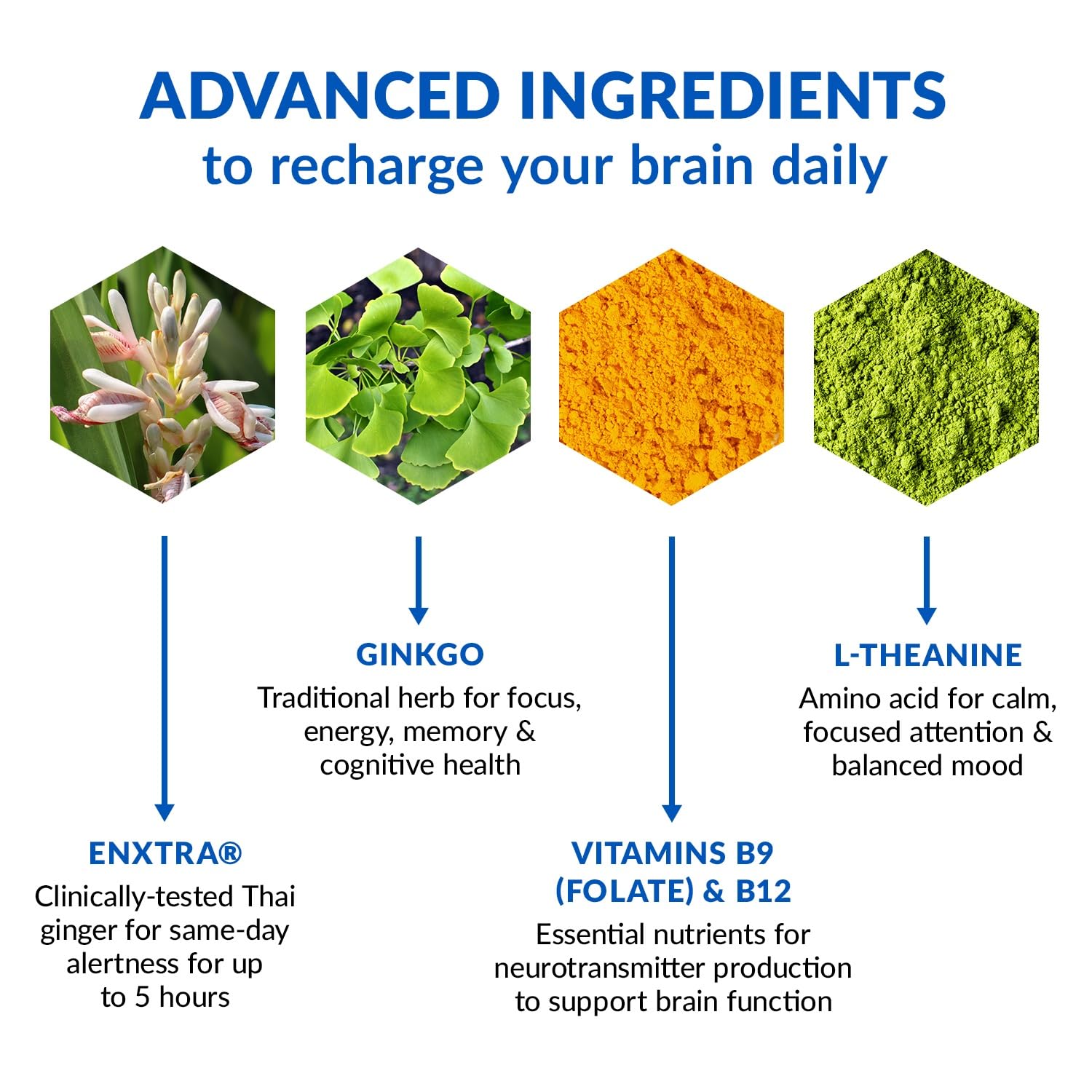 BioTrust Brain Bright Ginkgo Biloba Supplement back view