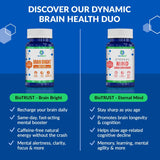 BioTrust Brain Bright Ginkgo Biloba Supplement capsules in hand