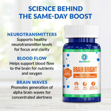BioTrust Brain Bright Ginkgo Biloba Supplement packaging