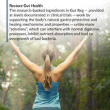 BioTrust Gut Reg 82g supplement opened bottle with capsules