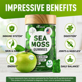 BioVit Sea Moss Gummies lifestyle usage scenario