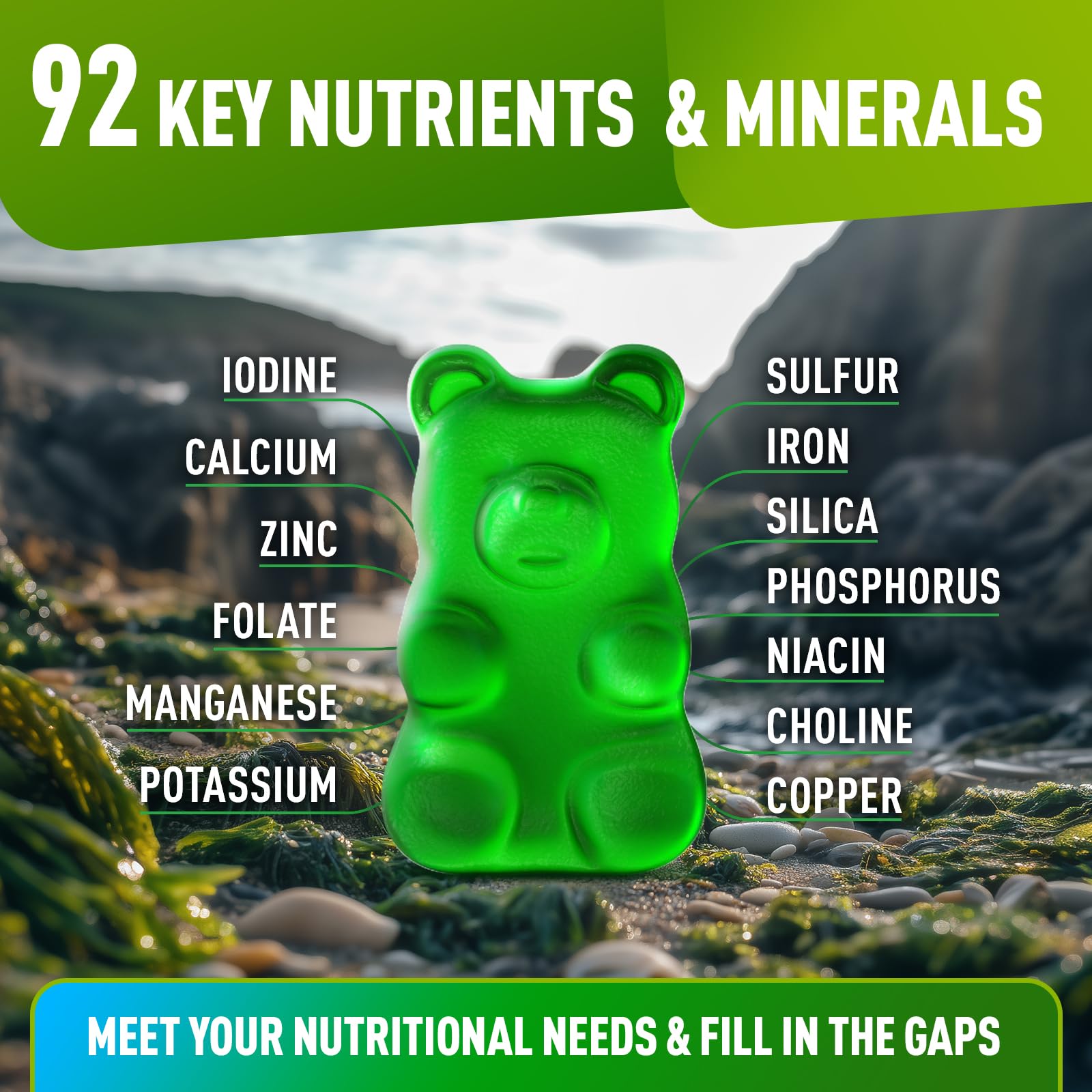 BioVit Sea Moss Gummies packaging dimensions