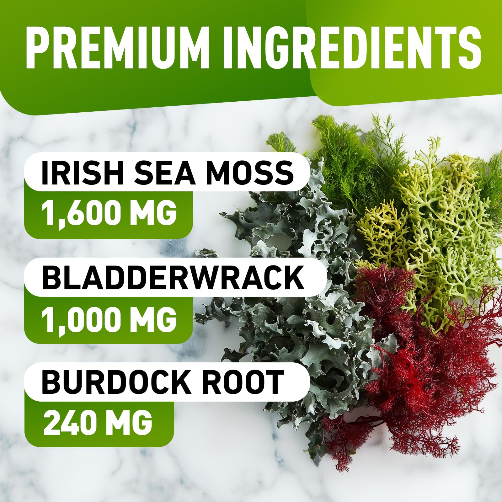 BioVit Sea Moss Gummies showing gummy texture