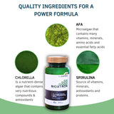 Bioxtron Natural Chewables tablets in a hand