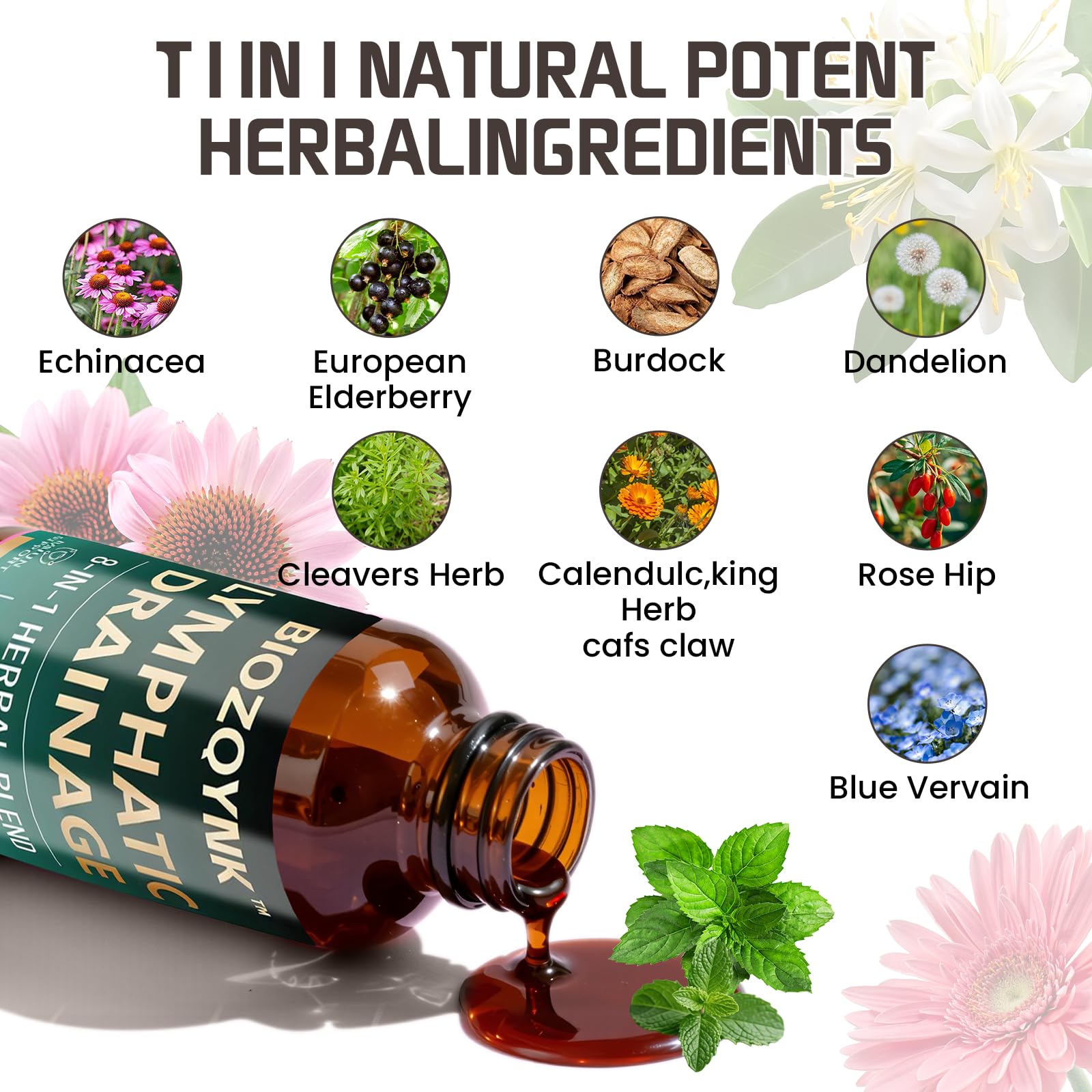 BIOZQYNK Echinacea Herbal Supplement 2 fl oz bottle with dropper