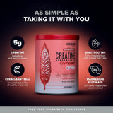 BIRDMAN Creatine Monohydrate 5g side view showing nutritional information
