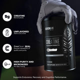 BIRDMAN Creatine Monohydrate Powder 363g side view