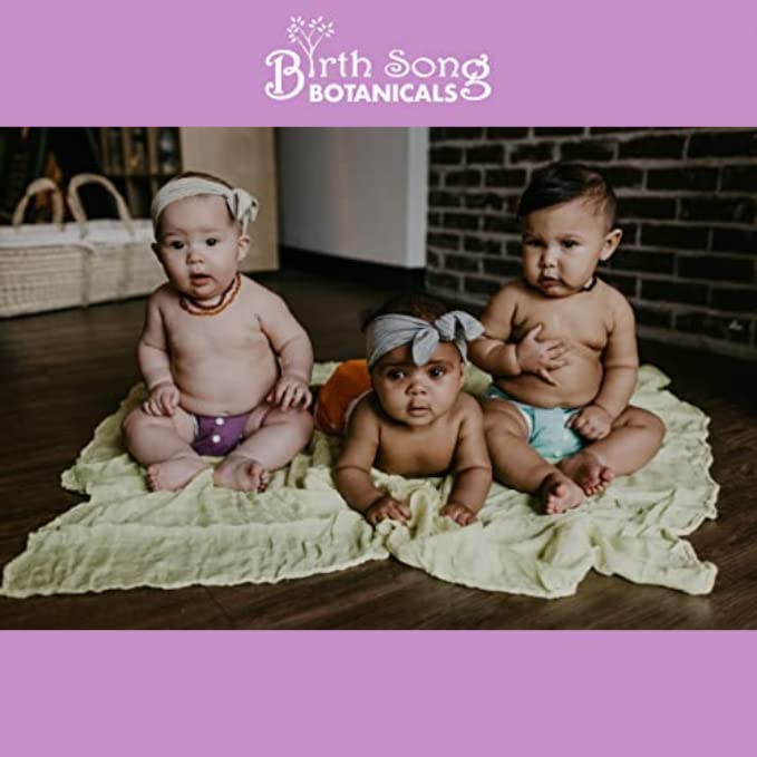 Birth Song Botanicals Children's Tranquility Tincture packaging