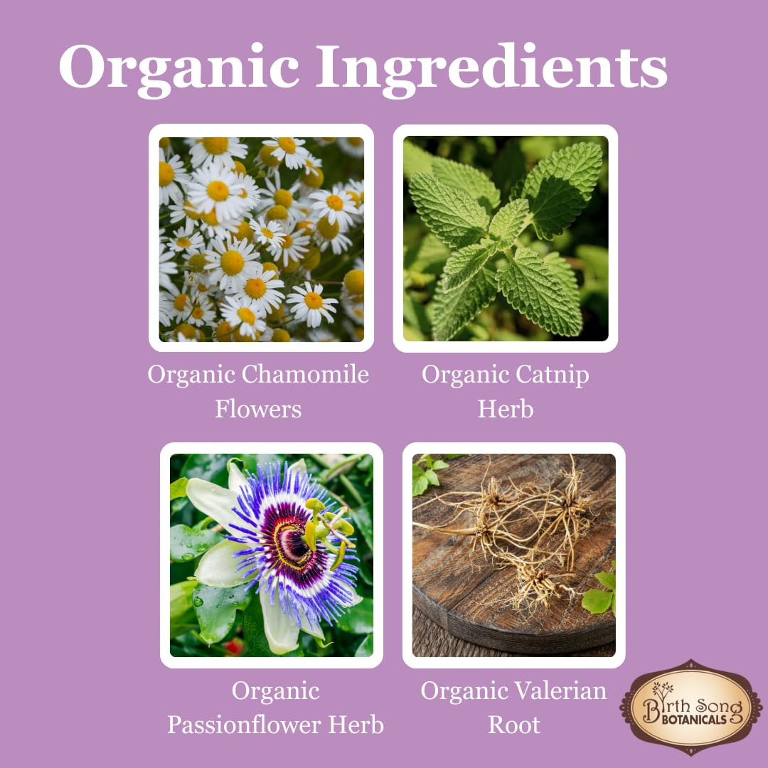 Birth Song Botanicals Children's Tranquility Tincture with herbs