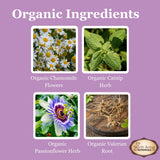 Birth Song Botanicals Children's Tranquility Tincture with herbs
