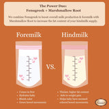 Birth Song Botanicals Let There Be Milk! Liquid Capsules bottle with label