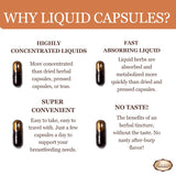 Birth Song Botanicals Let There Be Milk! Liquid Capsules lifestyle scene
