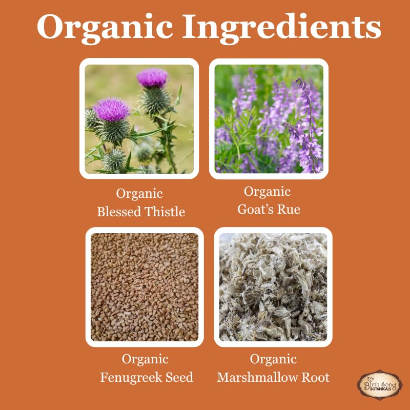Birth Song Botanicals Let There Be Milk! Liquid Capsules on kitchen counter
