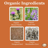 Birth Song Botanicals Let There Be Milk! Liquid Capsules on kitchen counter