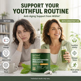 BIYODE Resveratrol Supplement 500mg nutritional information