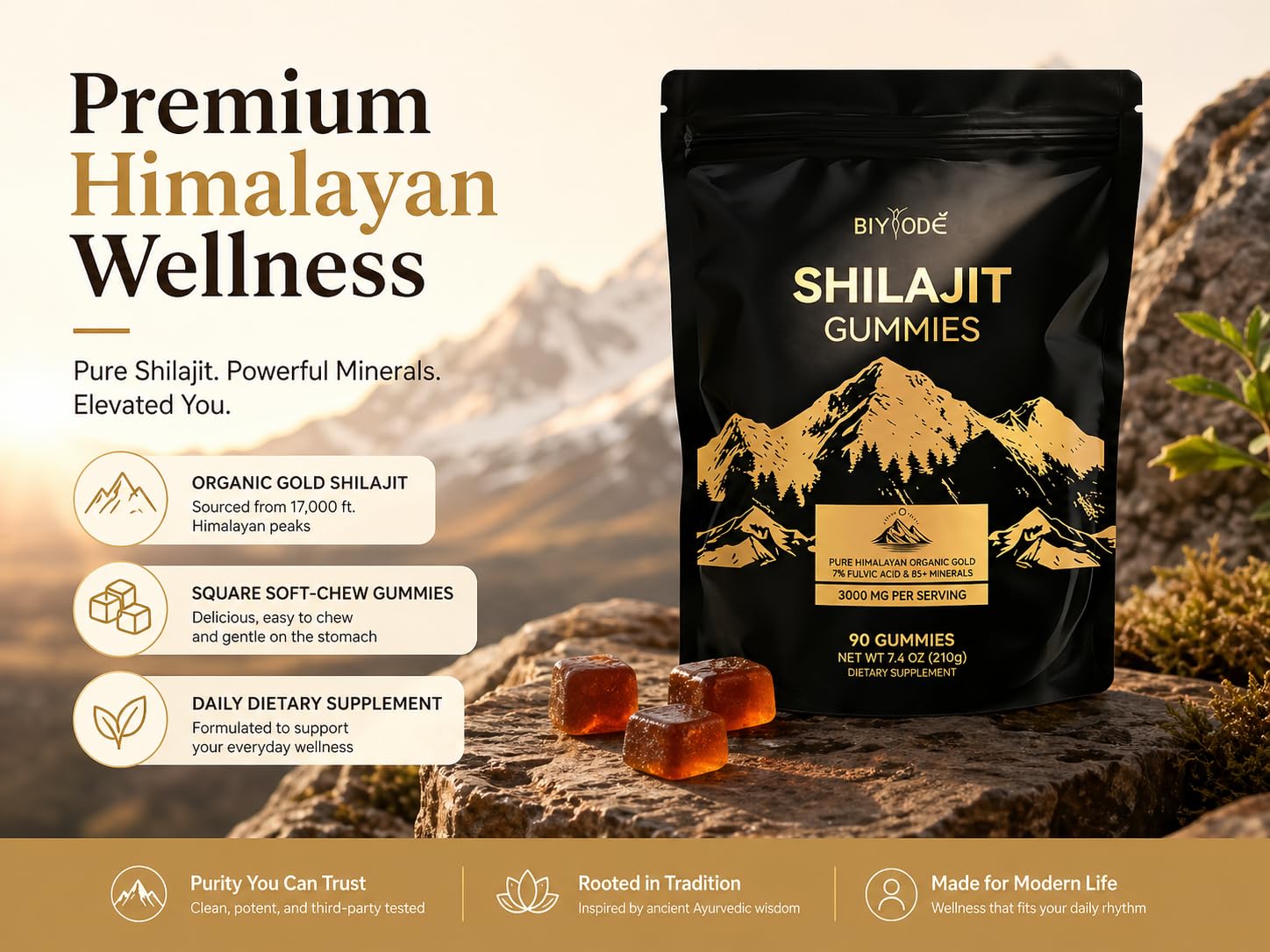 BIYODE Shilajit Gummies in a travel bag