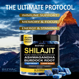 BIZYAC Shilajit Gummies close-up of gummy