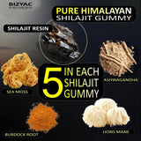 BIZYAC Shilajit Gummies side view of bottle
