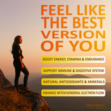 BIZYAC Shilajit Gummies with other herbal supplements