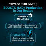 Black Forest NMNH Supplement 99% Pure capsules on a table