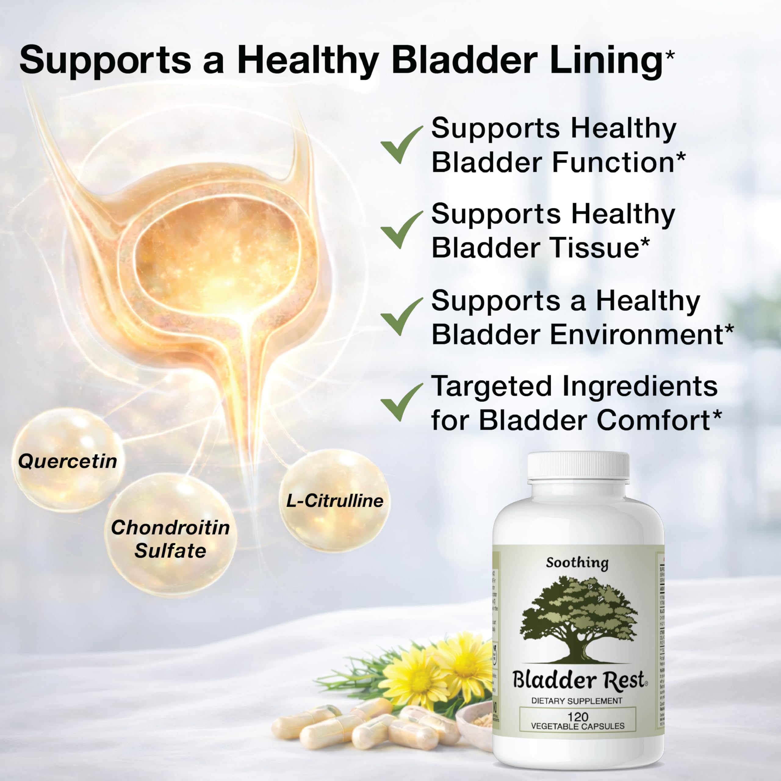 Bladder Rest Blended Vitamin & Mineral Supplement capsule close-up