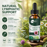BLENSTCS Echinacea Liquid Drops dropper close-up