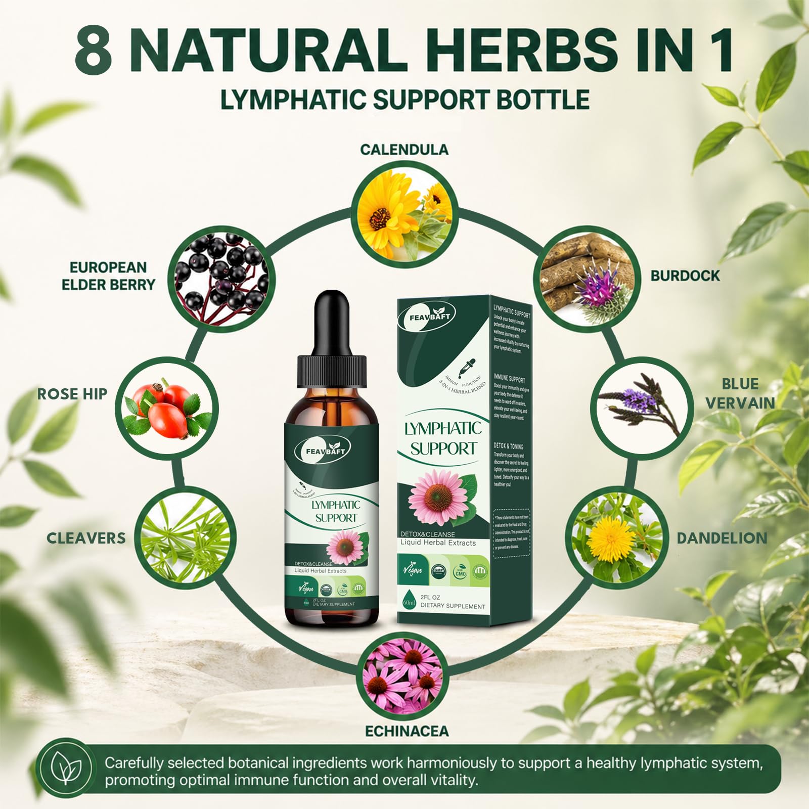 BLENSTCS Echinacea Liquid Drops lifestyle scene