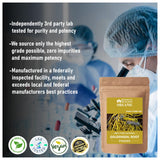 Blessfull Healing Goldenseal Root Powder 100g side view