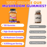 blluysterst Mushroom Gummies 26 Powerful Blend lifestyle scene