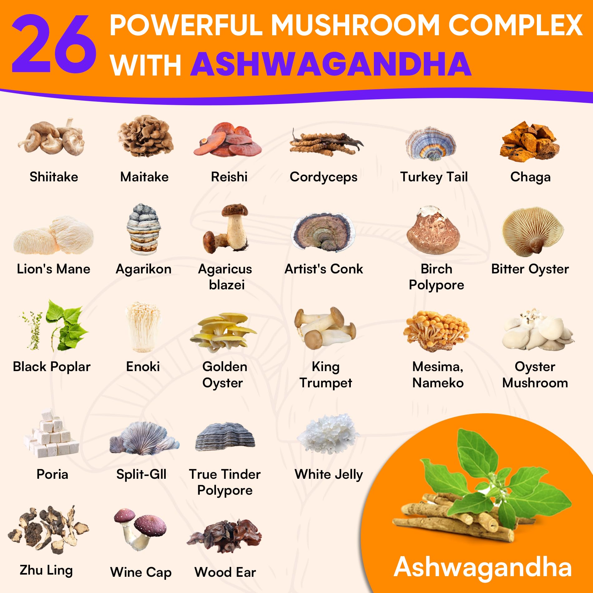 blluysterst Mushroom Gummies 26 Powerful Blend side view