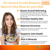 Blossom Nature 10-in-1 supplement bottle on a wooden surface