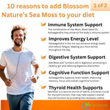 Blossom Nature 10-in-1 supplement in a lifestyle setting