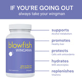 Blowfish Wingman Herbal Multivitamin capsule in hand
