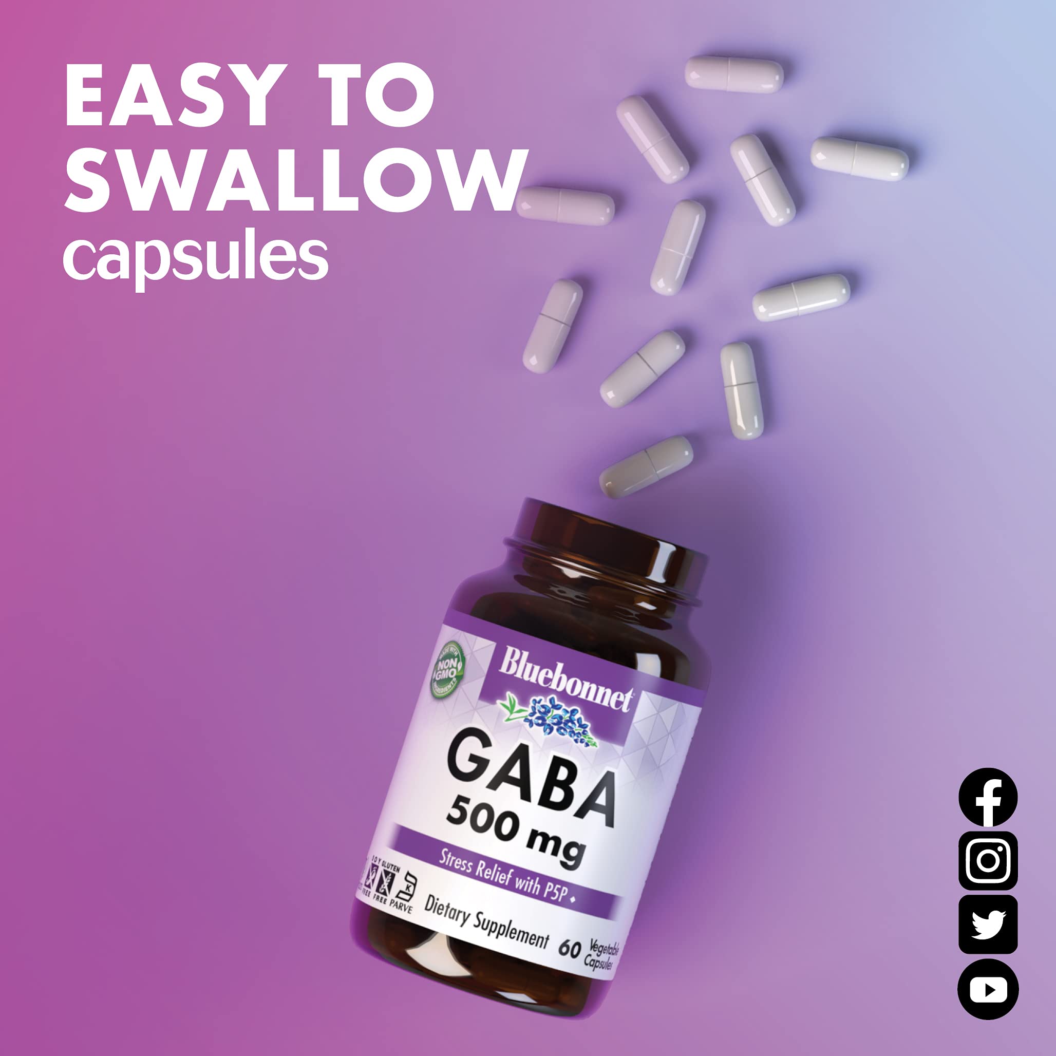BlueBonnet GABA 500 mg Vegetable Capsules back view
