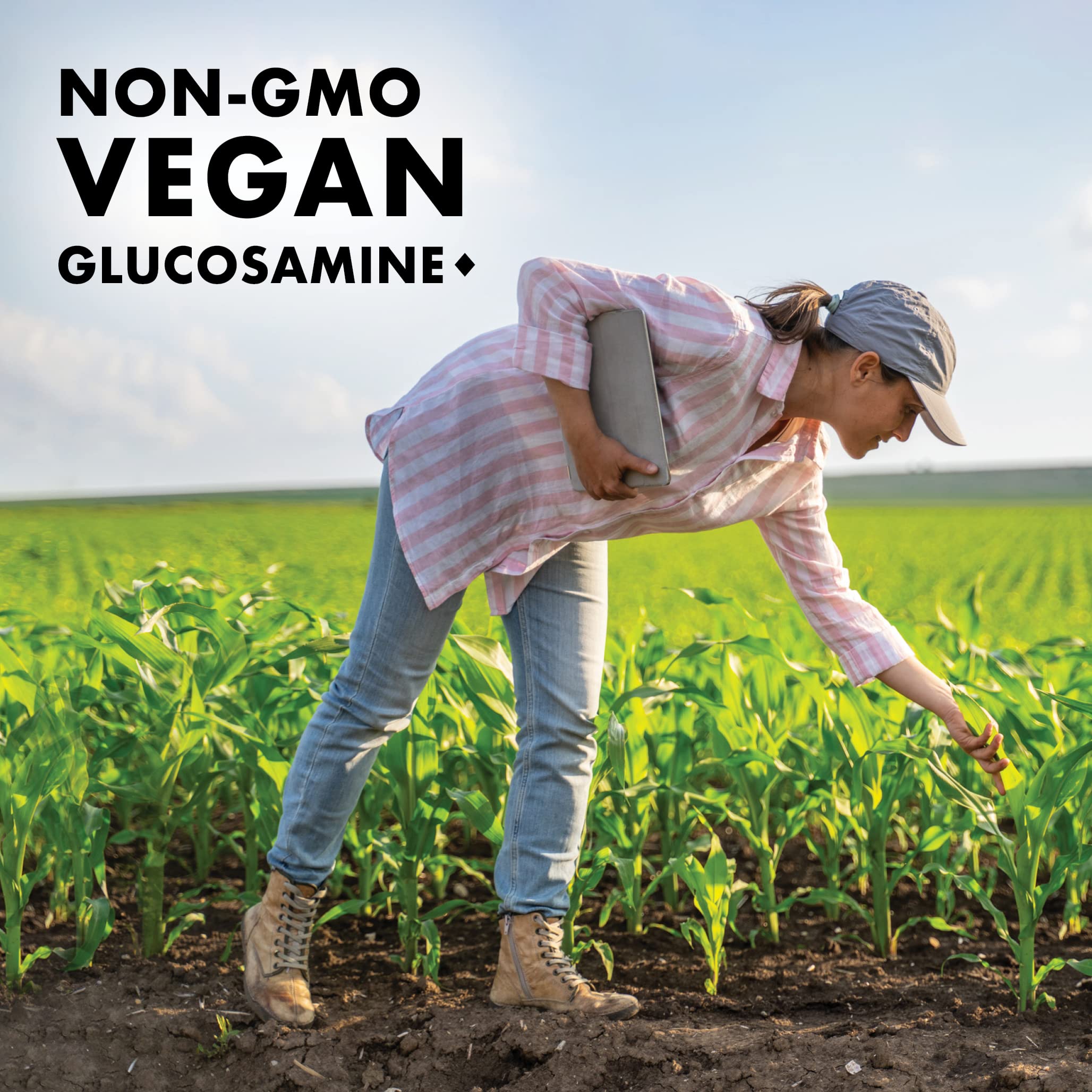 BlueBonnet Vegetarian Glucosamine & MSM capsules on a wooden surface