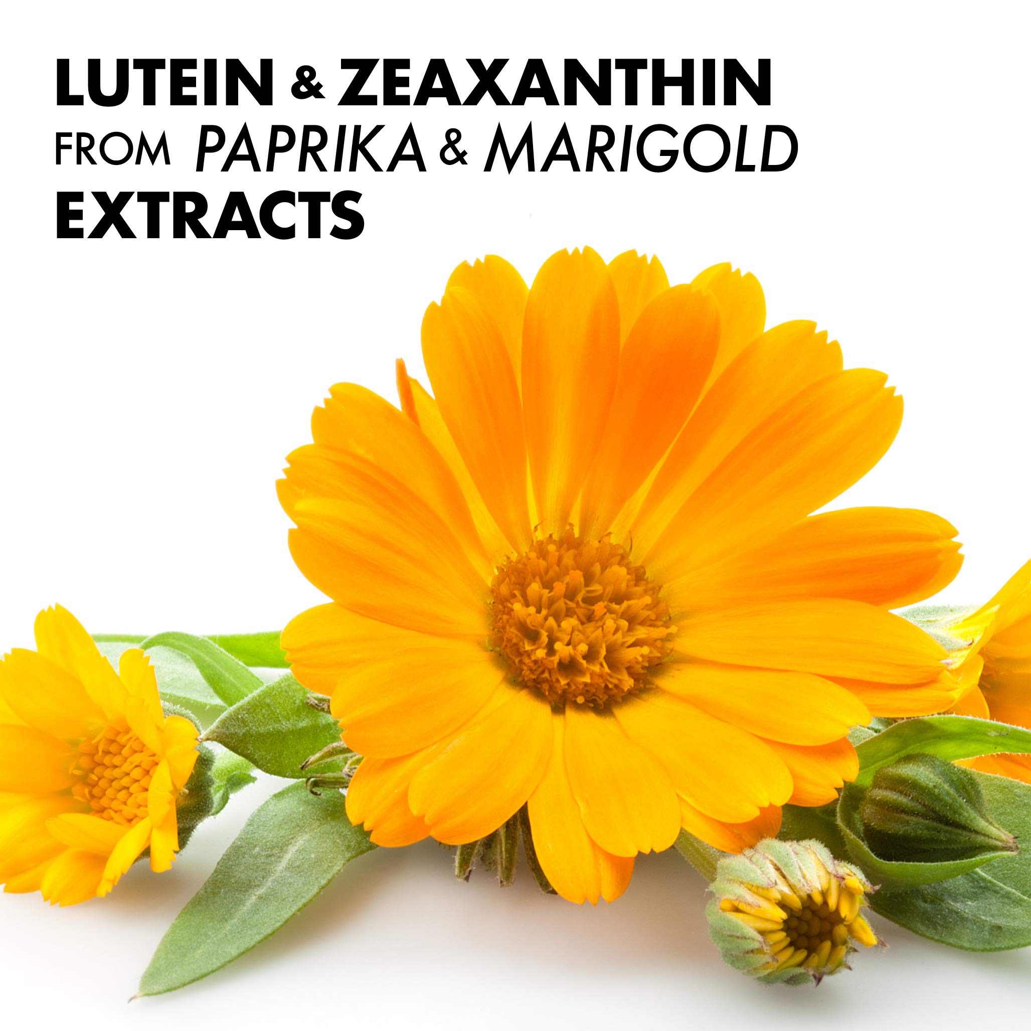BlueBonnet Zeaxanthin & Lutein softgels on a wooden table