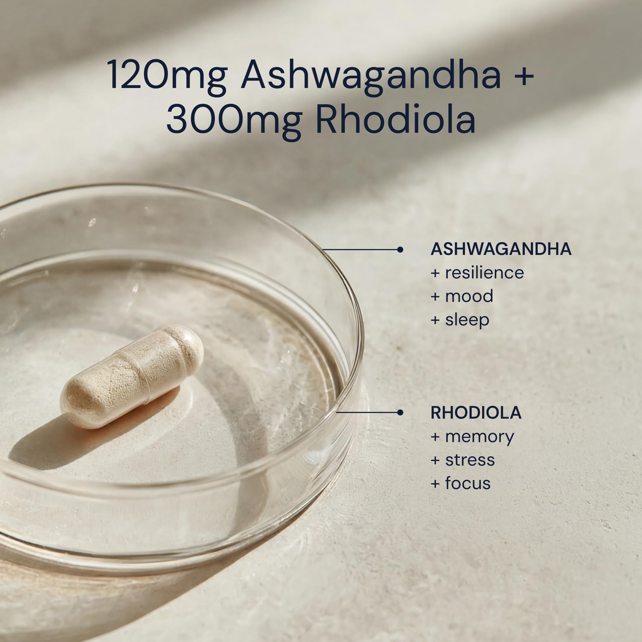 Blueprint Bryan Johnson Ashwagandha & Rhodiola Root Capsules close-up