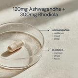 Blueprint Bryan Johnson Ashwagandha & Rhodiola Root Capsules close-up