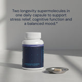 Blueprint Bryan Johnson Ashwagandha & Rhodiola Root Capsules with a measuring spoon