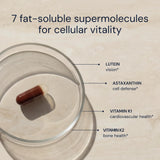 Blueprint Bryan Johnson Essential Softgels vegan capsules side view
