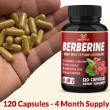 BMVINVOL Berberine Complex capsules close-up